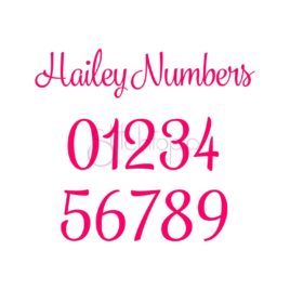 Hailey Numbers Set – 6 sizes