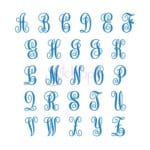 Elegant Embroidery Monogram - 9" 10" 11" 12" 13" 14" - Image 2