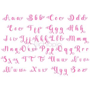 Pink Peonies Embroidery Font 1