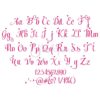 Script Embroidery Font Bundle #16 - 10 Fonts - Image 9